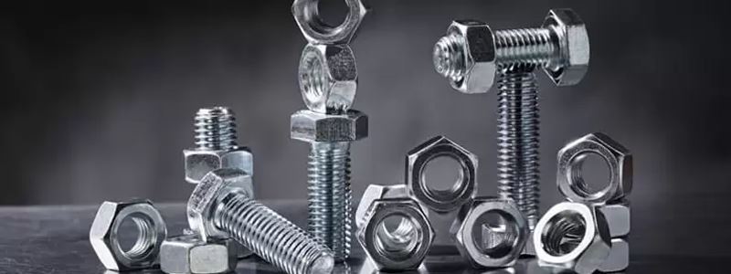 SS 317S Fasteners manufacturers in India