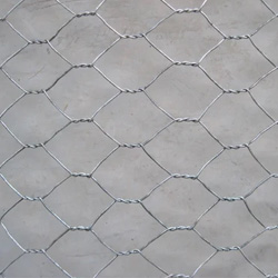Hexagonal Wire Mesh Supplier in India