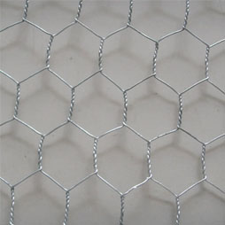 Stainless Steel Hexagonal Wire Mesh in India